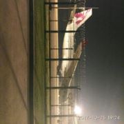 tcy~186449196