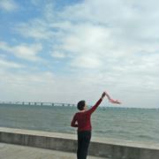 WX~186456335