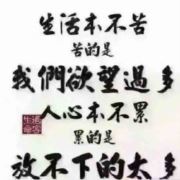 WX~186459341