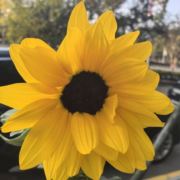 上虞买房找张二玲