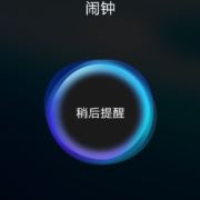 不断努力的猫