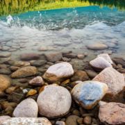 希望做个小朋友