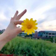 WX~186484241
