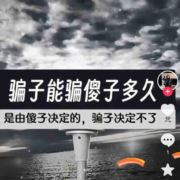 tcy~186486018