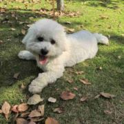 开车就犯困