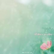 WX~186498261