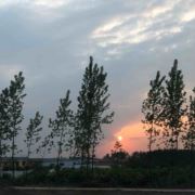 爱纠结的巨蟹座