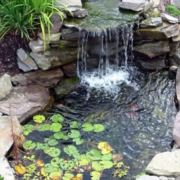 快乐天使王明明