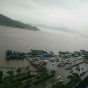 WX~186540336