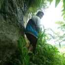 WX~186545917