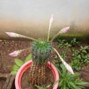 数控车床维修001