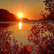 努力仰望阳光的人