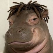 镖航物流千斤顶