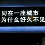 深夜酒吧不畈酒