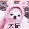 TQ~186569850