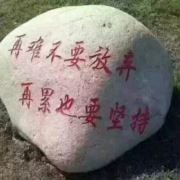 WX~186573635