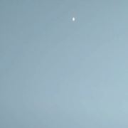 浙江村村有美女