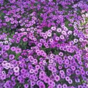 不一样的结局0428