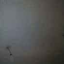 WX~186597094