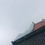 tcy~186601386