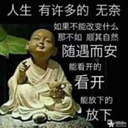 tcy~186606825