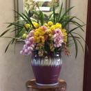 绍兴市亿纳仪器