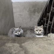 37度拥抱