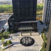 tcy~186652484