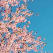 你名字是我的故事