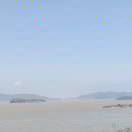 WX~186672163