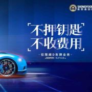 押证车抵质询师