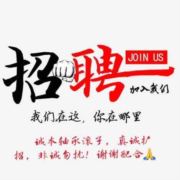 小鼠_老鼠
