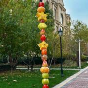 马仁村太秋柿子