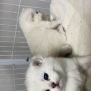 酸酸甜甜才是味道