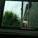 WX~186696380