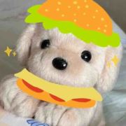 lalala565678