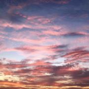 炎夏的清涼