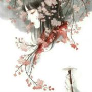 等风的相思