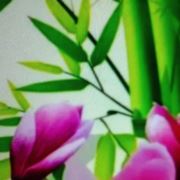 彩虹万里11
