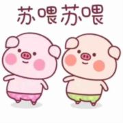 WX~186721121