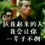 诚实金哥