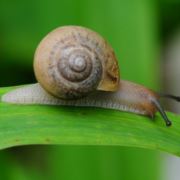 努力取个好名字