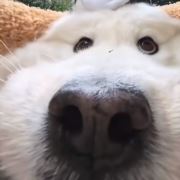 上御影院式足道