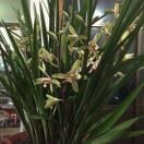 脚踏实地一帆风顺