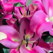 禾火天的氵昷度