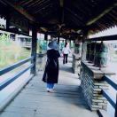 每天都要开心llb