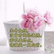 一叶知秋之美好