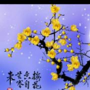 一剪赛梅小华