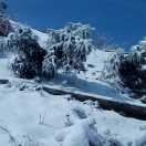 WX~186860508
