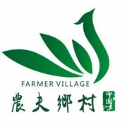 果园散养土鸡蛋